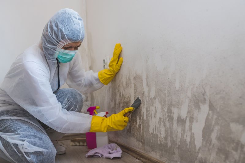 Cleaning and Mold Remediation Specialists