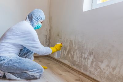 Mold Prevention and Cleanup